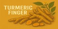 Turmeric Finger 